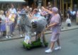 Man and donkey in Shrewsbury Carinval 2003