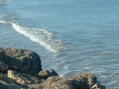 seafront in denia